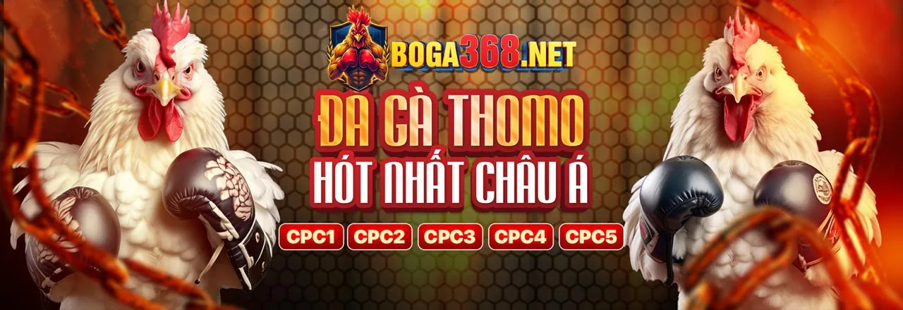 Sân đá gà trực tuyến go666 với khuyến mãi hấp dẫn
